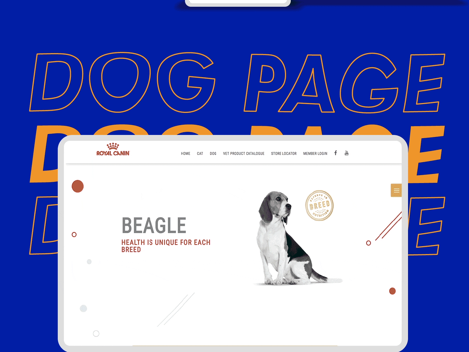 Royal Canin breed campaign microsite responsive design for dog breed page viewed on desktop